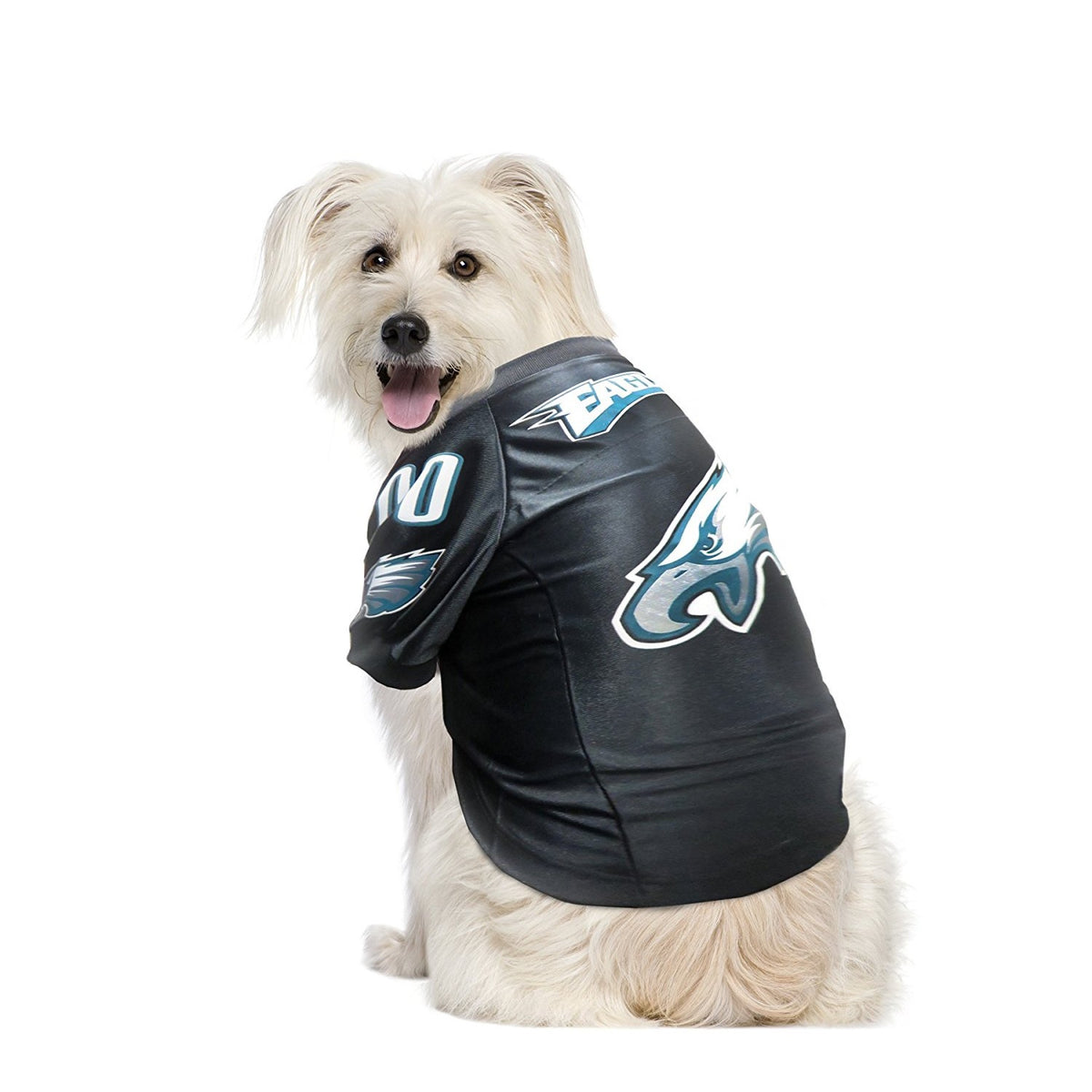 Eagles store jersey dog