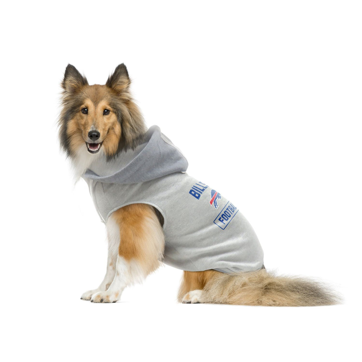 Buffalo Bills Cheer Dog Costume