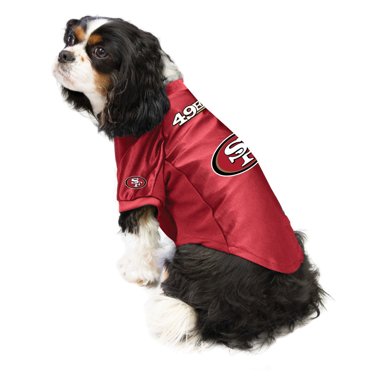 NFL Baltimore Ravens Dog Jersey Puppy Sports Apparel – Posh Puppy Boutique