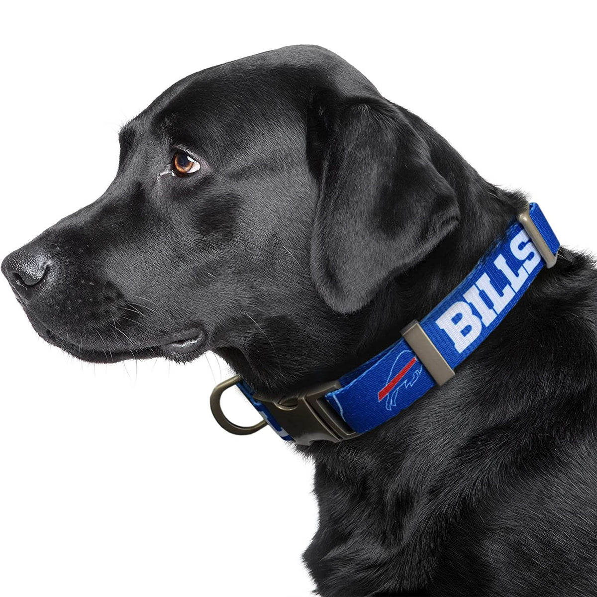 Dog Collar Buffalo Bills Pet Nylon : NFL Dog Collars – Posh Puppy Boutique