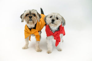 Top 5 Must-Have Pieces of Small Dog Apparel for Your Fashionable Furry Friend