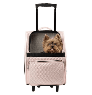 Designer Pet Carriers: Stylishly Transport Your Beloved Pet