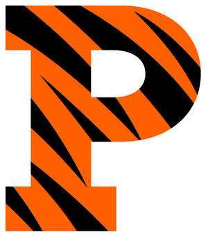 Princeton Tigers