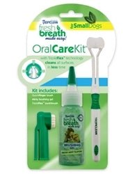 Oral Care