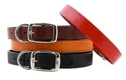 Leather Collars