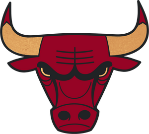 Chicago Bulls