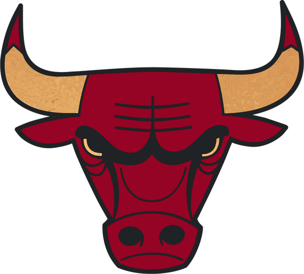 Chicago Bulls