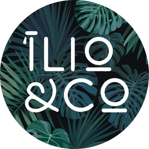 Ilio &amp; Co