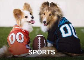 Sports