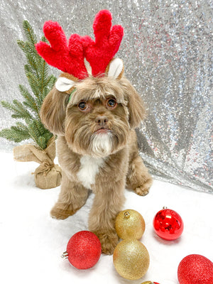 Reindeer Dog Antler Headband