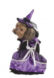 Purple Witch Costume