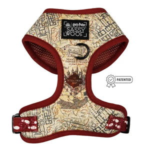 Harry Potter™ Marauder's Map™ Adjustable Harness