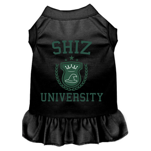 Wickedly Good Shiz University Outfit