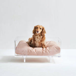 Clear Pet Bed