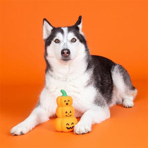 Go Big or Gourd Home Dog Chew Toy