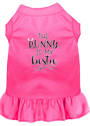 Bunny is my Bestie Screen Print Dog Dress in Many Colors