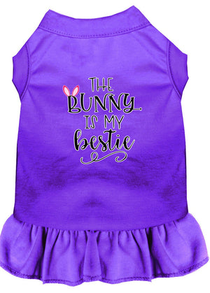 Bunny is my Bestie Screen Print Dog Dress in Many Colors