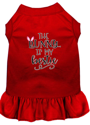 Bunny is my Bestie Screen Print Dog Dress in Many Colors