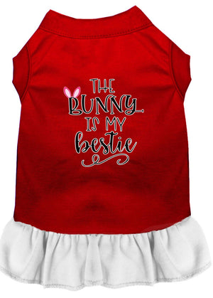 Bunny is my Bestie Screen Print Dog Dress in Many Colors