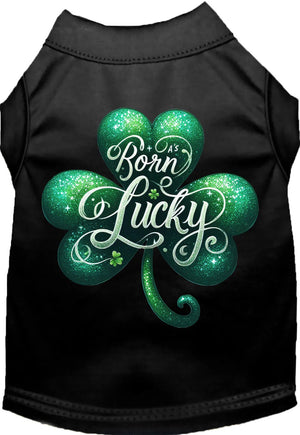 A's Born Lucky Screen Print Dog Shirt in Many Colors