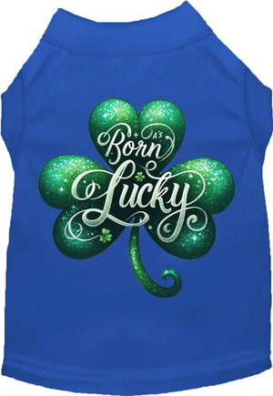 A's Born Lucky Screen Print Dog Shirt in Many Colors