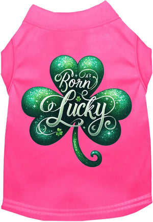 A's Born Lucky Screen Print Dog Shirt in Many Colors