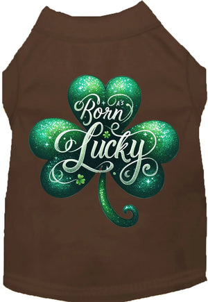 A's Born Lucky Screen Print Dog Shirt in Many Colors