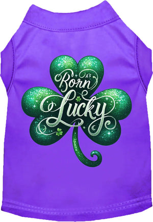 A's Born Lucky Screen Print Dog Shirt in Many Colors