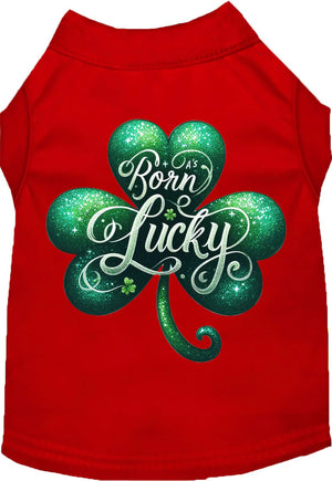 A's Born Lucky Screen Print Dog Shirt in Many Colors