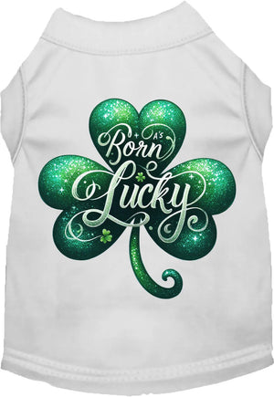 A's Born Lucky Screen Print Dog Shirt in Many Colors