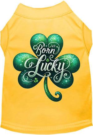 A's Born Lucky Screen Print Dog Shirt in Many Colors