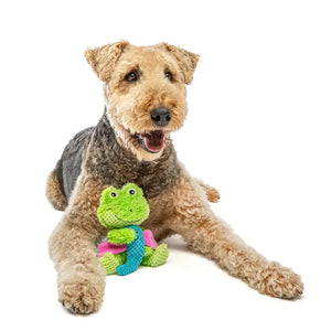 Guru Pet Loveys Frog Plush Dog Toy