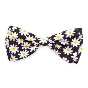 Black Lazy Daisy Bow Tie