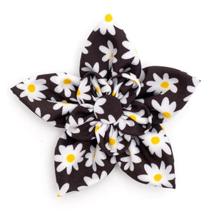 Black Lazy Daisy Flower Slider