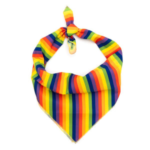 Multicolored Rainbow Bandana