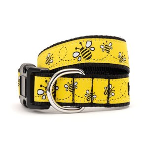 Yellow Bzzz! Collar and Lead Collection