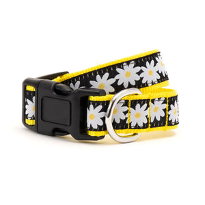 Black Lazy Daisy Collar