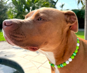 Lucky Charm Beaded Collar