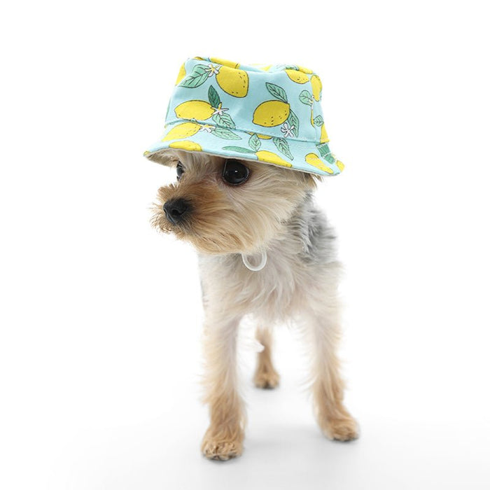 Bucket Hat Lemon Blue