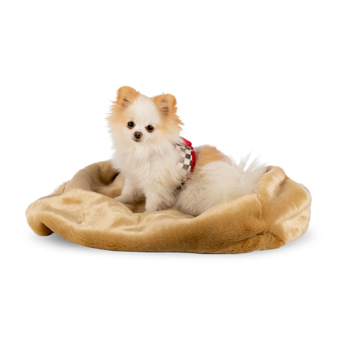 Susan Lanci Camel Smooth with Camel Shag Cuddle Cup