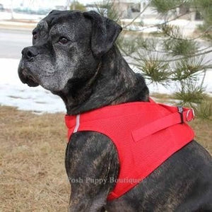 American River Ultra Choke Free Dog Harness- Red - Posh Puppy Boutique