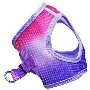 American River Ultra Choke Free Dog Harness- Ombre Collection - Raspberry Sundae - Posh Puppy Boutique