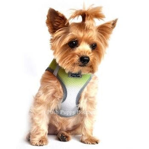 American River Ultra Choke Free Dog Harness- Ombre Collection -Limestone Gray - Posh Puppy Boutique