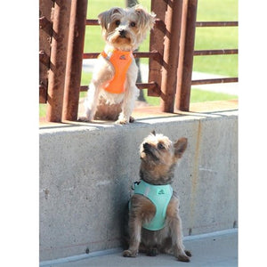 American River Ultra Choke-Free Mesh Dog Harness - Teal - Posh Puppy Boutique