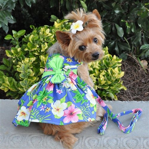 Blue Lagoon Hawaiian Hibiscus Dog Harness Dress with Matching Leash