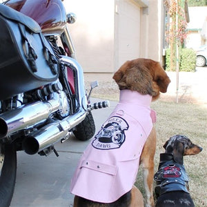 Biker Dawg Motorcycle Dog Jacket - Pink - Posh Puppy Boutique