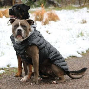 Alpine Extreme Weather Puffer Coat - Black - Posh Puppy Boutique