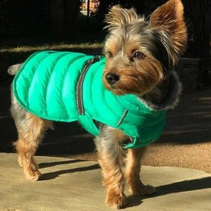 Alpine Extreme Weather Puffer Coat - Arcadia - Posh Puppy Boutique