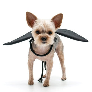 Bat Wings in Black - Posh Puppy Boutique