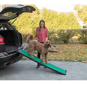 Bi-fold Travel Lite Pet Ramp With SupertraX in Black-Green